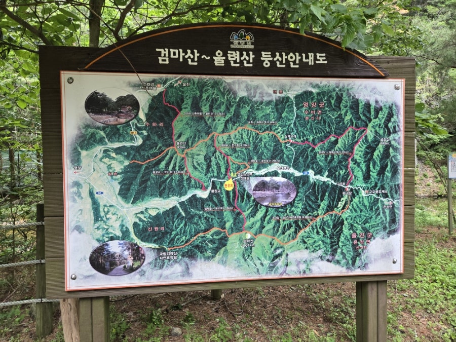 금강소나무생태경영림 사진 6