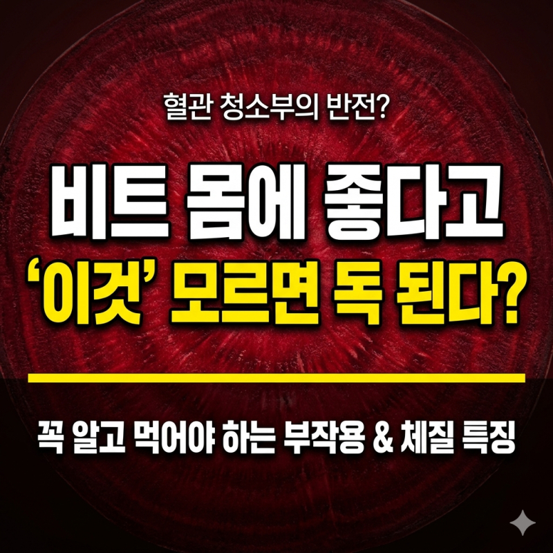 비트의 효능 효과, 좋다고 무턱대고 마셨다간? 부작용과 몸에 잘 맞는 사람 특징 총정리!