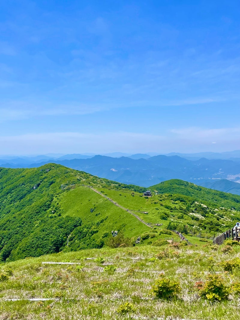 [경북/영주/풍기] 소백산 비로봉 등산 및 소백산 국립공원 삼가 야영장 하우스 A-11 이용 후기