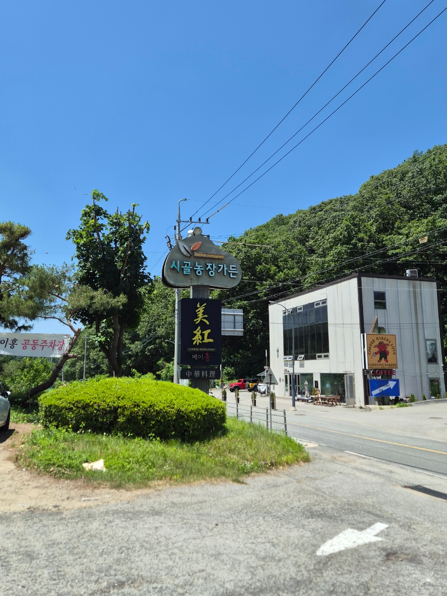 메이홍 사진 2