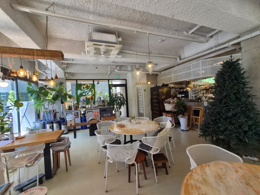 오슬로 사진 4