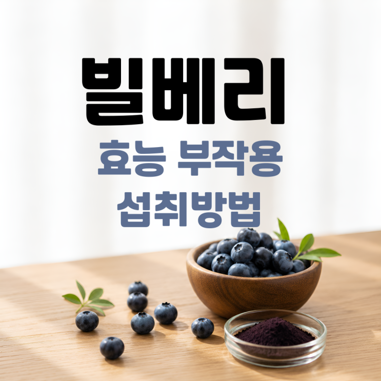  빌베리 효능 부작용 복용법 총정리, 이것 모르고 먹으면 효과 반감됩니다