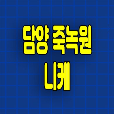  담양 죽녹원 니케 민간임대아파트 광주 10년전세 허그보증 임대가