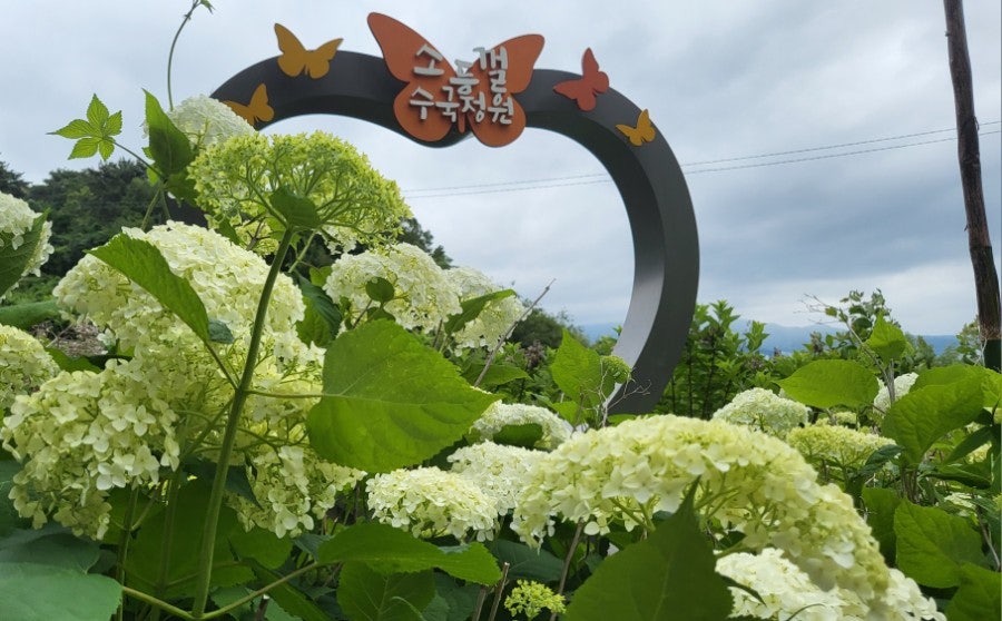 김가네대동국수 사진 1