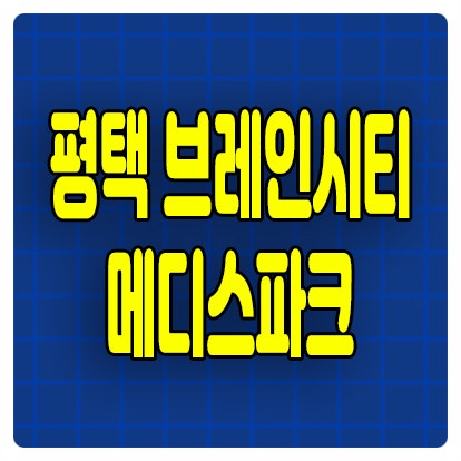  평택 브레인시티 메디스파크 분양가 장안동 로제비앙 모아엘가 잔여세대