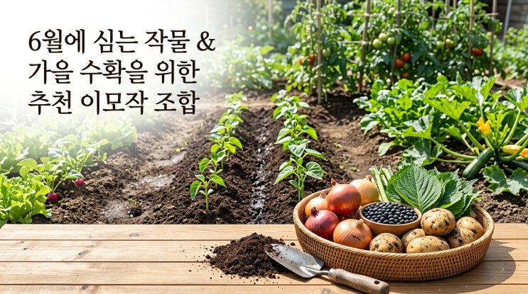  6월에 심는 작물 및 텃밭 2모작 추천 종류