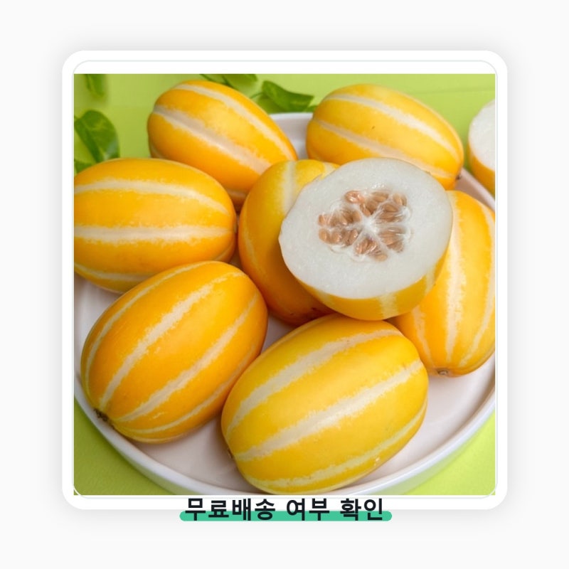 성주 참외, 초고당도 선별 가정용으로 딱! 상품 이미지 3