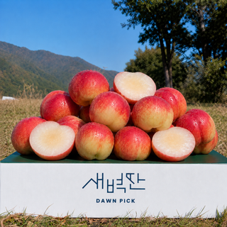  신비복숭아 천도 납작 딱딱이 - 품종별 특징과 보관법