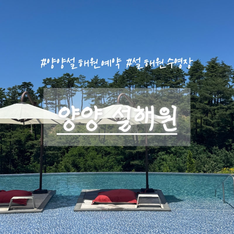 양양 설해원 힐링여행 마운틴스테이 숙박 온천 사우나 수영장 면역공방 비회원 예약