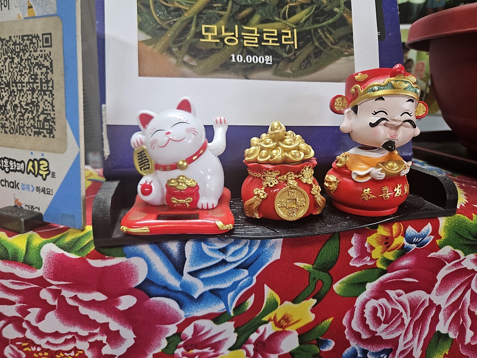 고하이 사진 5