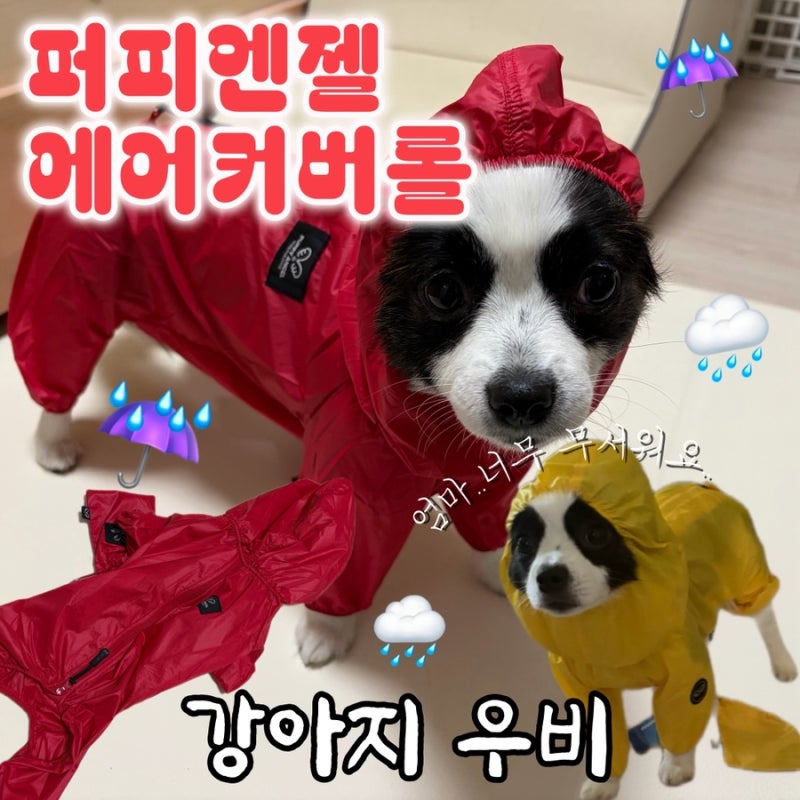 퍼피엔젤 강아지 우비 쏘오옥 우비 대신 구매한 후기