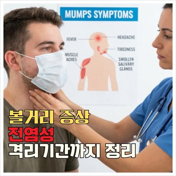 볼거리 증상 귀 밑이 붓는다면? 격리기간과 전염성 정리