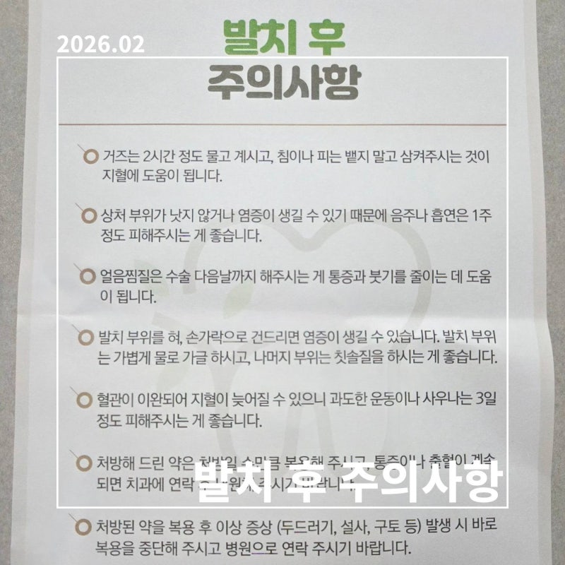 아픈 어금니 뽑고 밤새 찾아본 발치 후 주의 사항과 식사 가이드, 드라이 소켓 방지 수칙, 회....