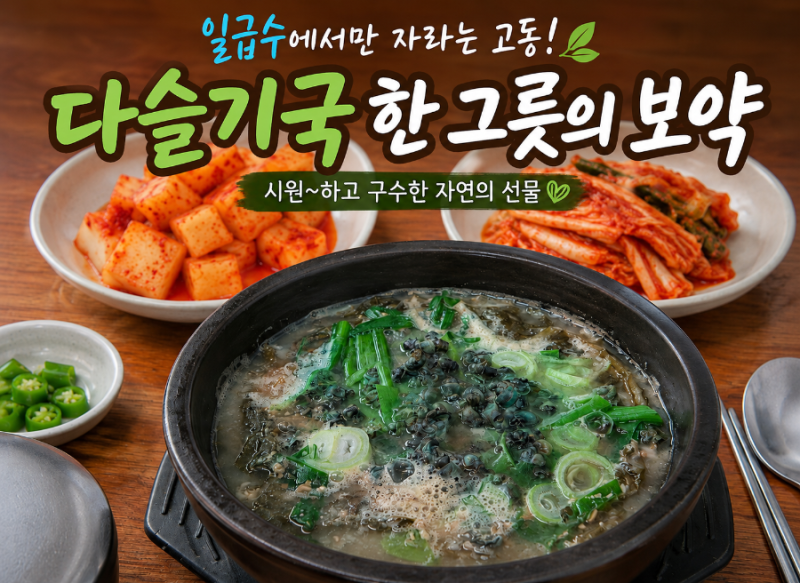 홍천강에서 직접 잡은 다슬기! 속 시원한 다슬기국 끓이는 법