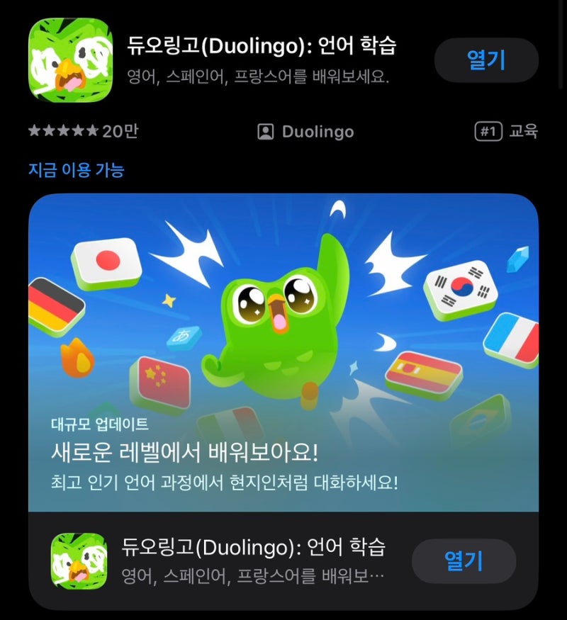 초등학생 영어공부 앱 추천 듀오링고(Duolingo)
