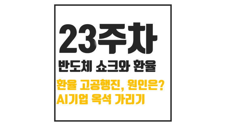  2009년 이후 최고 환율, AI 주식 급락 폭락장의 시장일까?