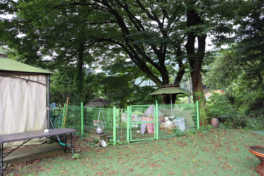 빨강버섯스머프펜션 사진 4