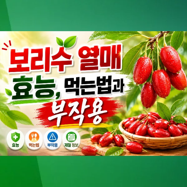보리수 열매 효능, 제철, 영양성분, 먹는법, 부작용