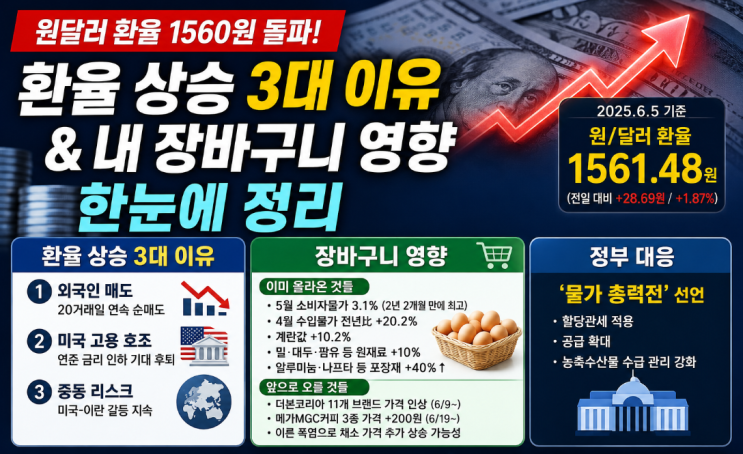  원달러환율 1560원 돌파, 금융위기 이후 처음입니다