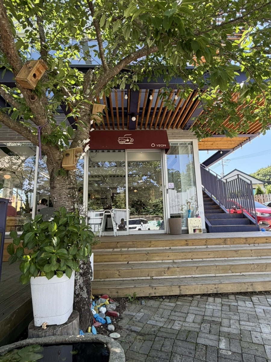 오연 사진 2