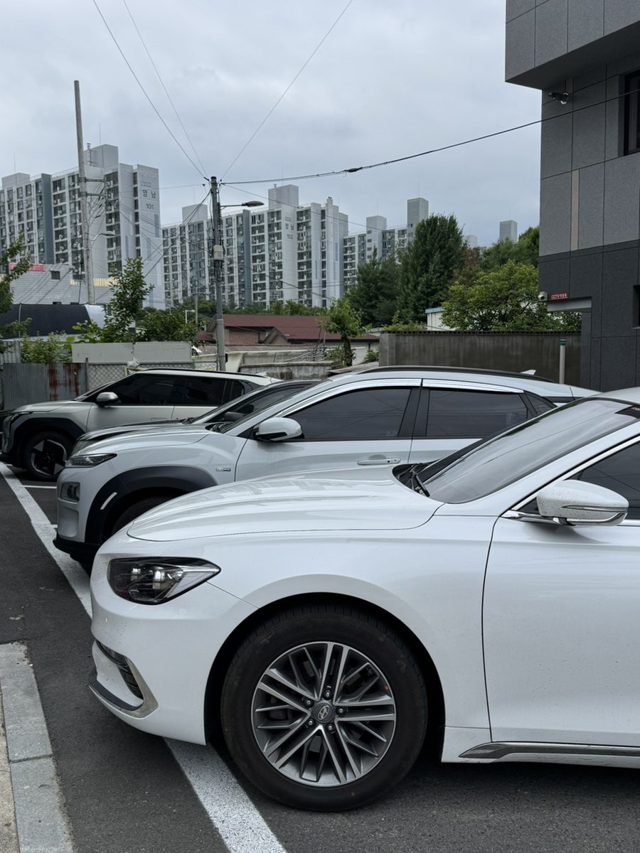 국시와갱시기 사진 1
