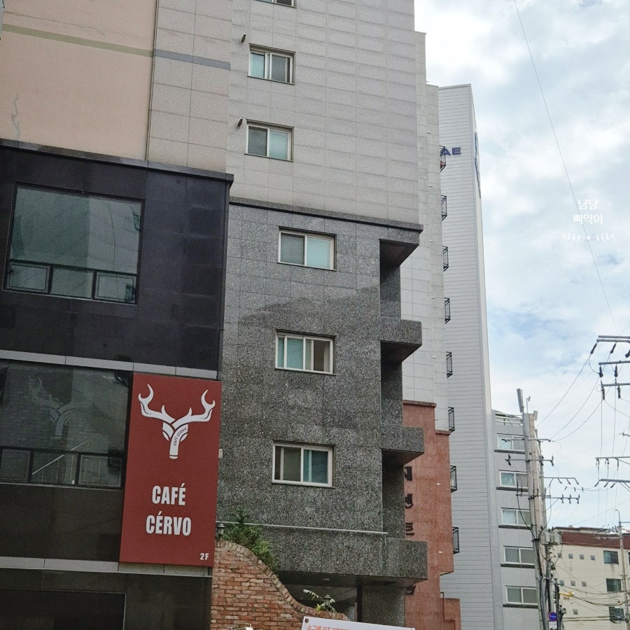 체르보 사진 3