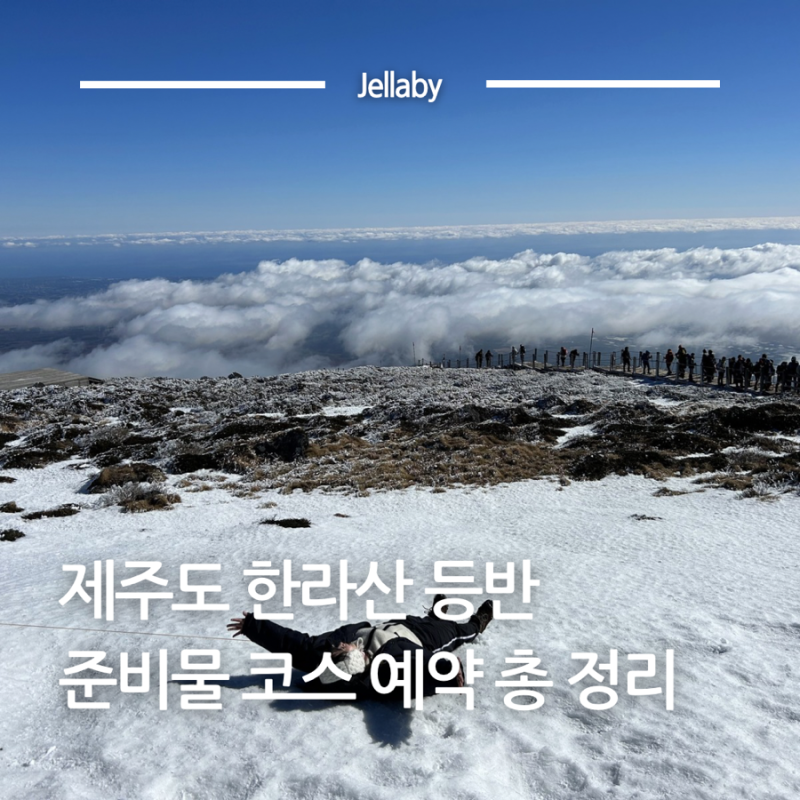 제주도 한라산 국립공원 성판악 관음사 백록담 정상 등반 코스 탐방 예약 준비물