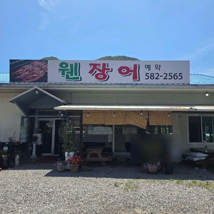 웬장어 사진 1
