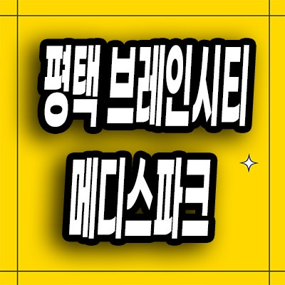  평택 장안동 로제비앙 모아엘가 분양가 브레인시티 메디스파크 미분양