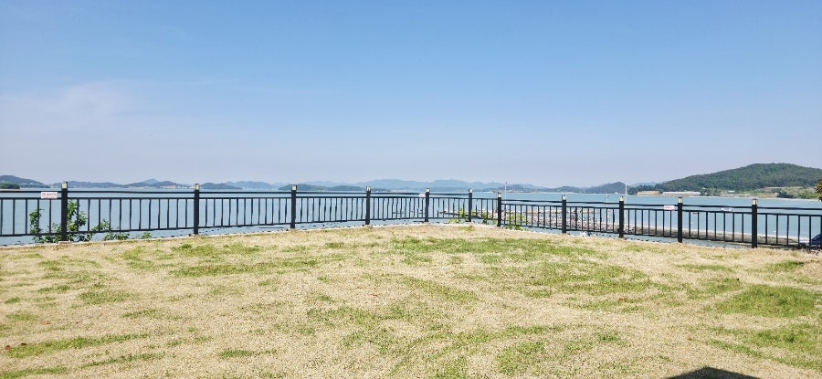 이디야커피 신안천사DI점 사진 3