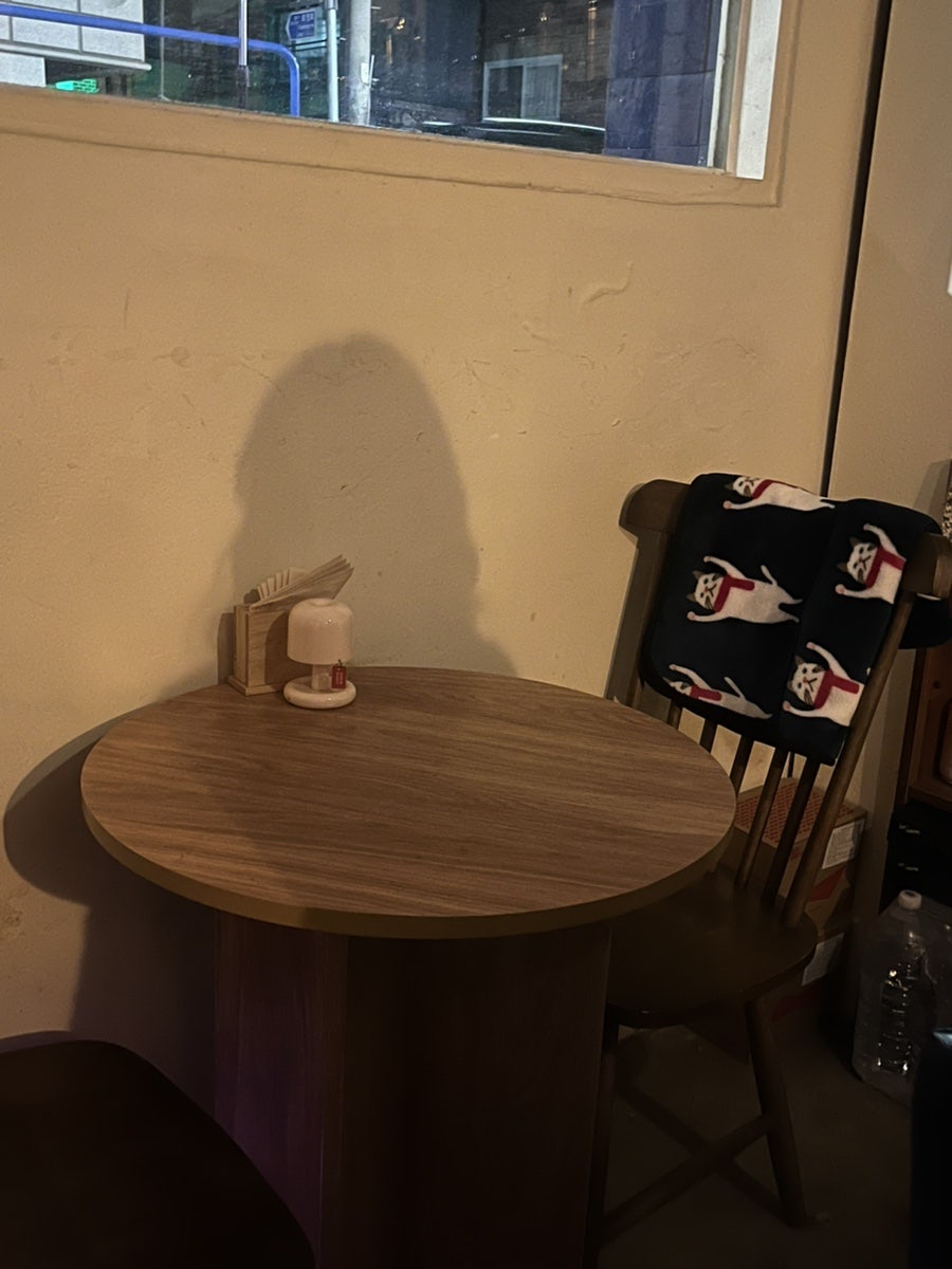 맹금류 사진 4