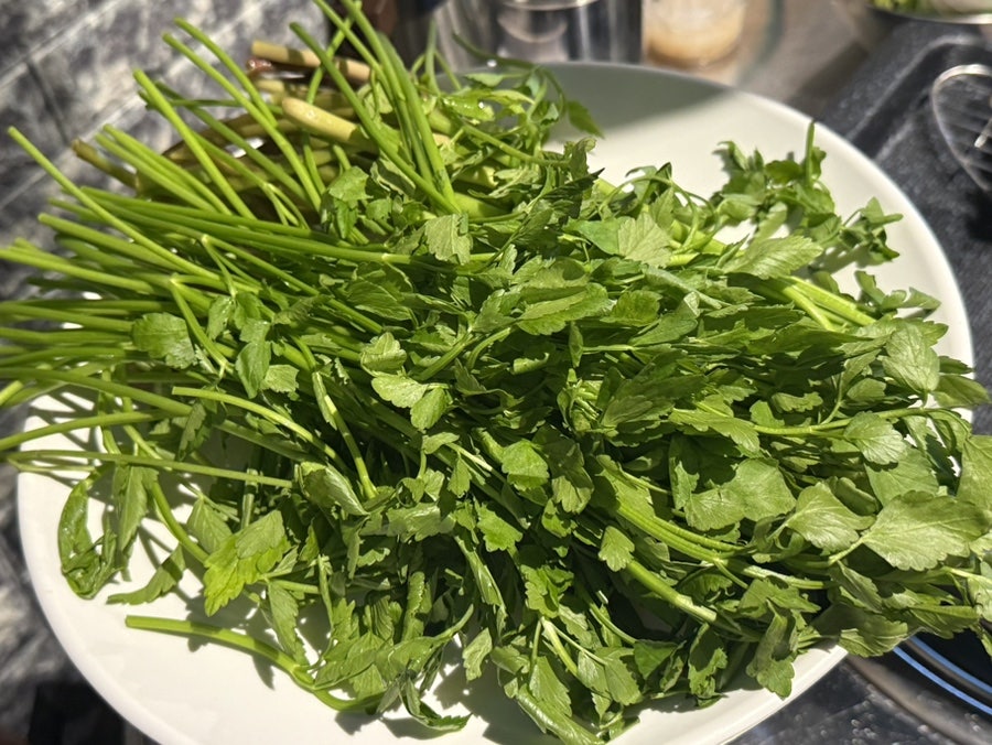 정운식당 사진 3
