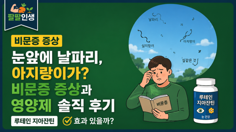 [비문증 증상]눈앞에 날파리, 아지랑이가? 비문증 증상과 영양제