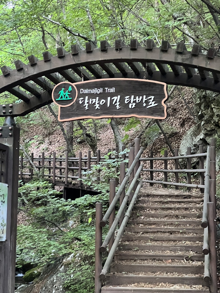 셀레네유황족욕카페 사진 3