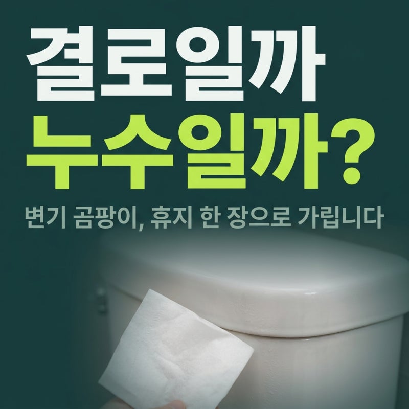 화장실누수 변기 곰팡이, 락스로 못 잡는 원인 3가지