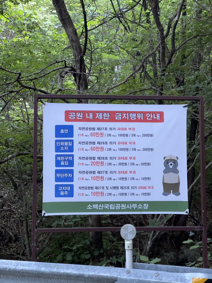 셀레네유황족욕카페 사진 5