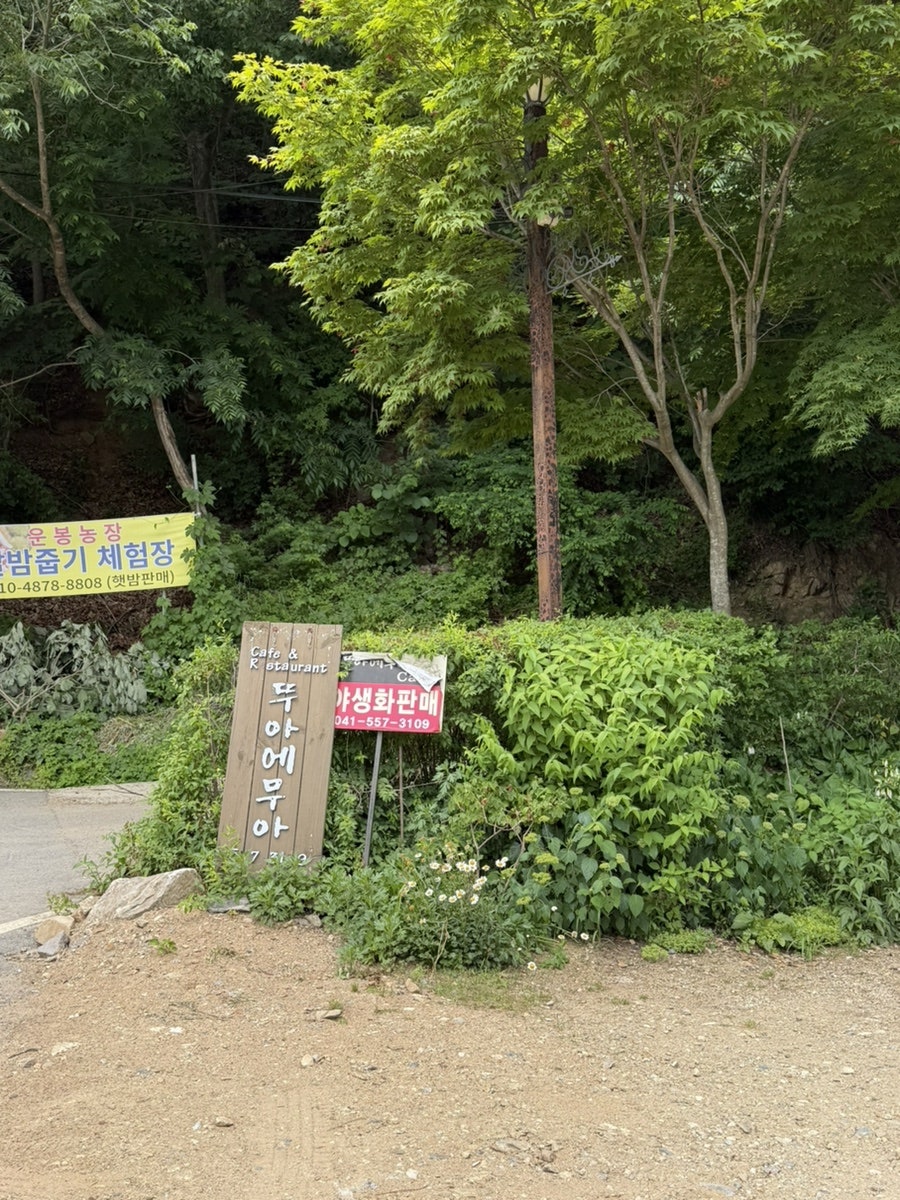 뚜아에무아 야생화정원 사진 2