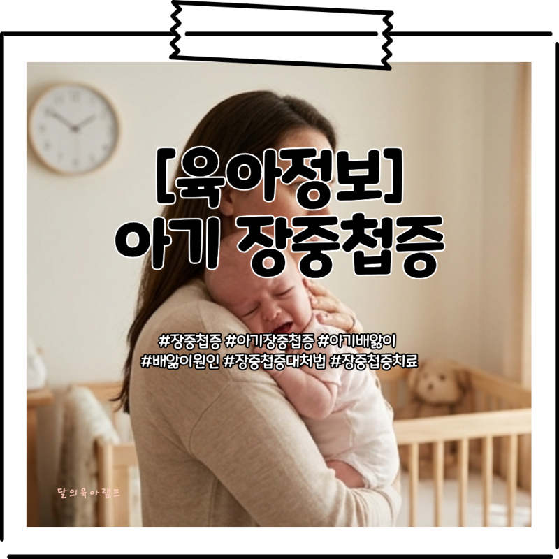 [육아정보] 신생아 장중첩증 증상 진단 치료와 장중첩증 소아복통 재발 방지 가이드
