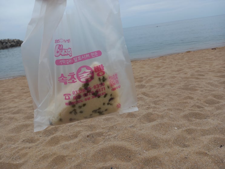  속초 중앙시장 막걸리술빵 찐맛집 추천