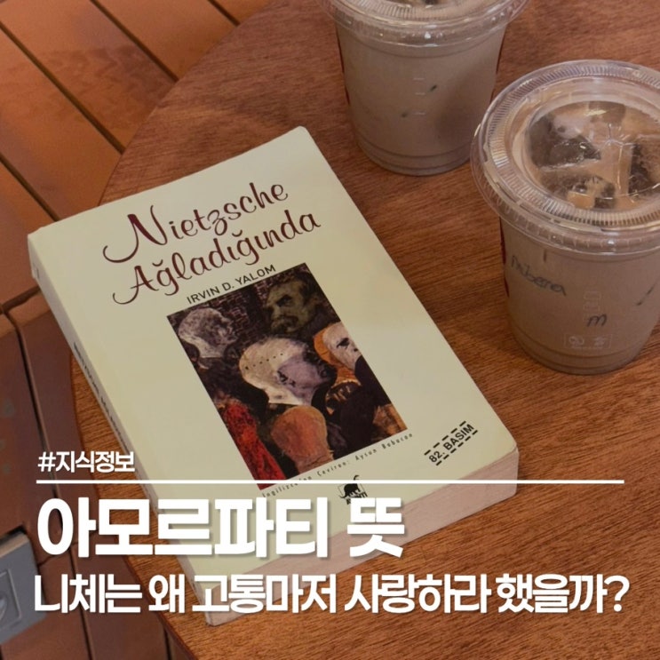  아모르파티 뜻, 카르페디엠과 완전히 다른 니체 명언의 숨겨진 인생 태