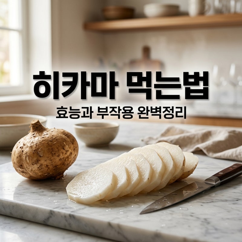 히카마 먹는법 효능 부작용 보관법 멕시코 감자 완벽 가이드