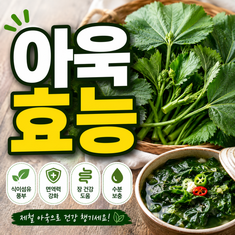 아욱 효능 무엇이 좋을까? 제철·손질·보관법까지 정리