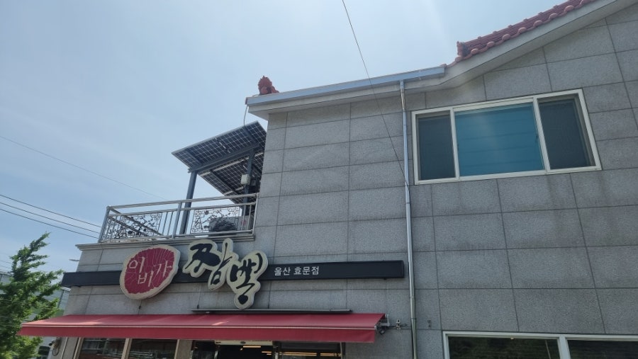 이비가짬뽕 울산효문점 사진 1