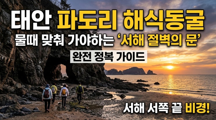  물때가 열려야만 허락되는 서해 끝 절벽의 문: 태안 파도리 해식동굴 완전 공략 가이드