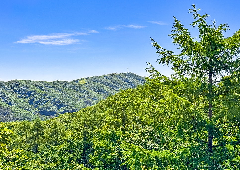 뒷골 사진 7