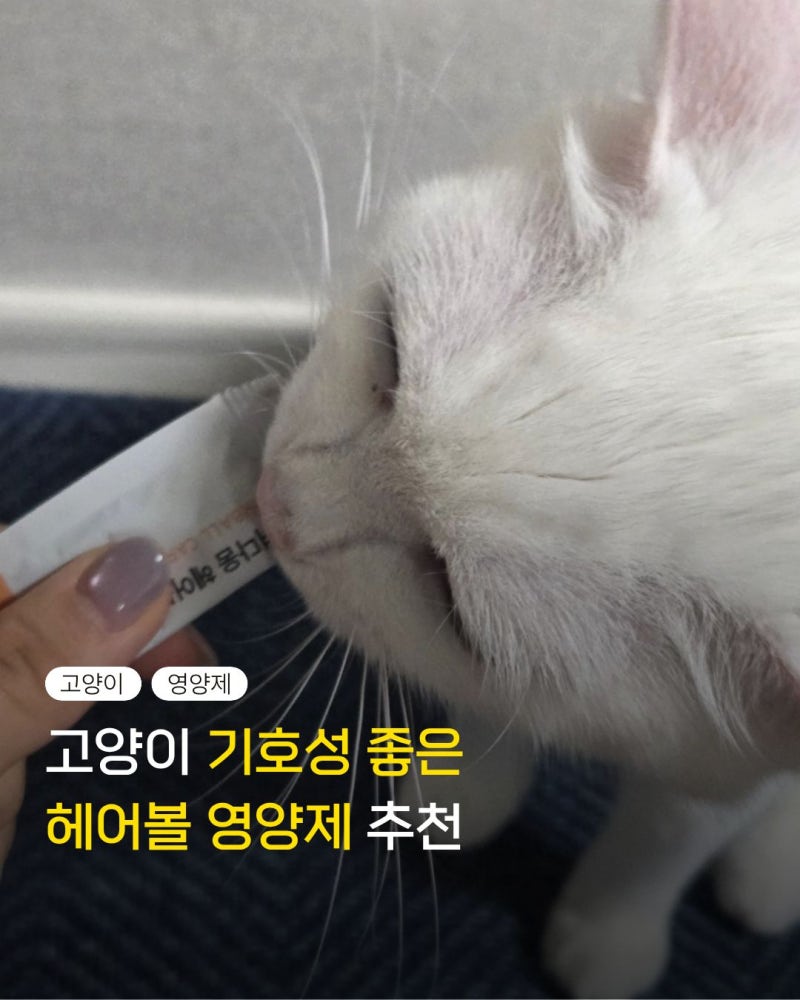 고양이 헤어볼 영양제 추천 기호성 좋은 츄르 급여 후기