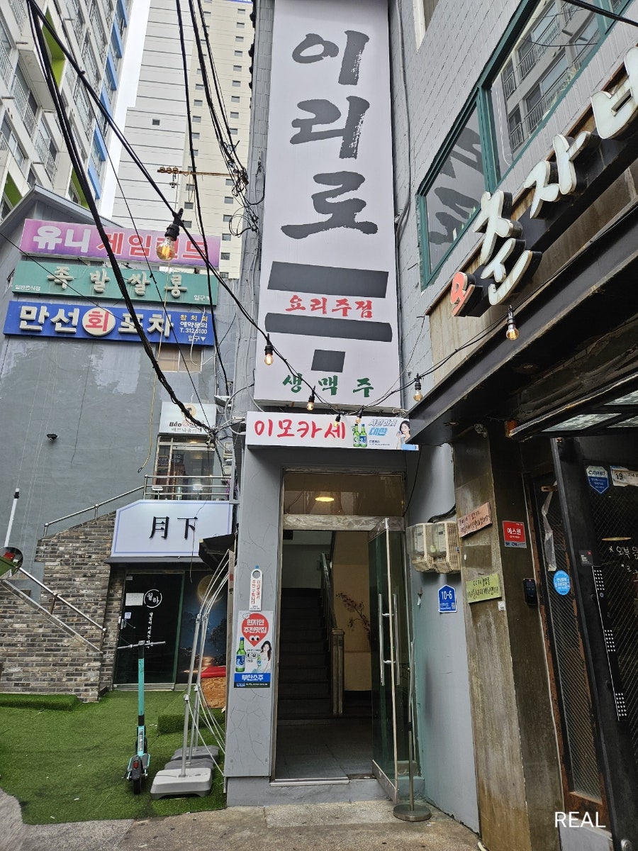 이리로 사진 2