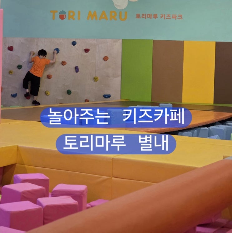  엄마아빠 대신 놀아주는 키즈카페 토리마루 별내점