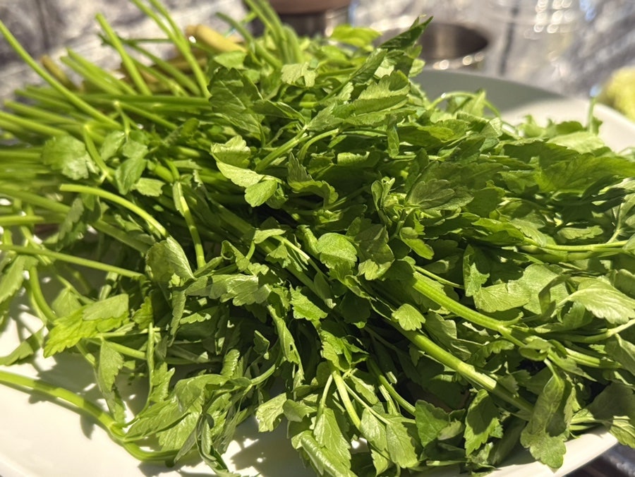 정운식당 사진 4