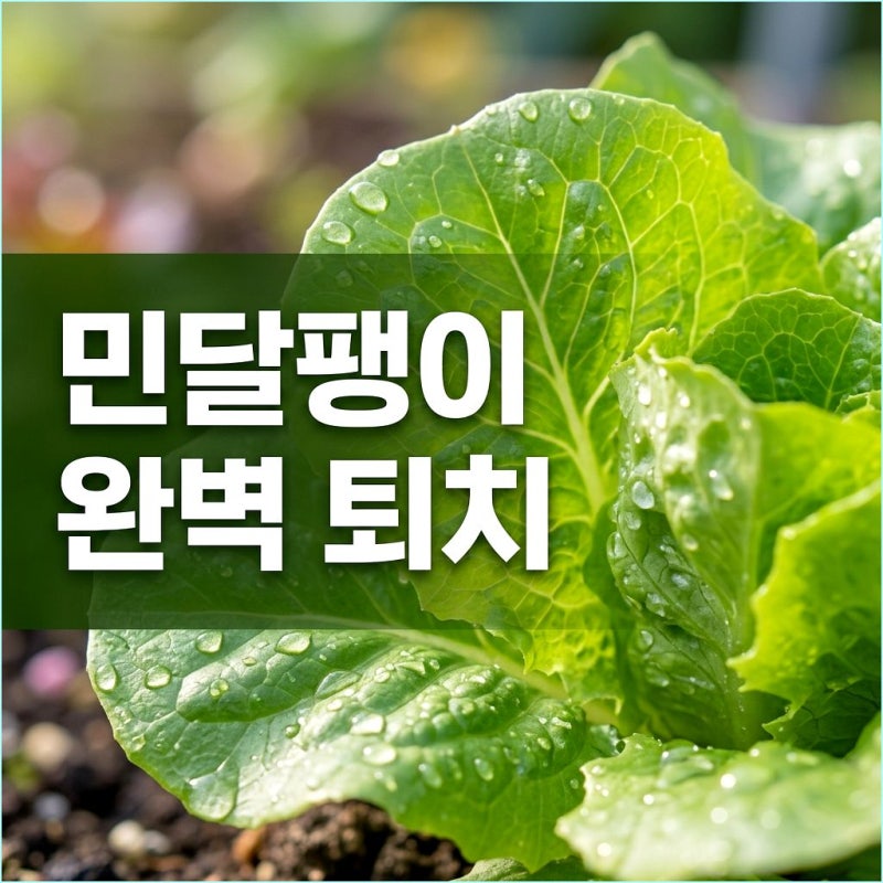 민달팽이 퇴치 소금 뿌리면 흙까지 죽습니다! 인산철과 맥주 트랩 완벽 해결법